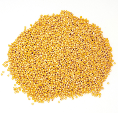 Mostaza Grano PAPRIMUR