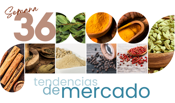 Tendencias de mercado Semana 36 612x360