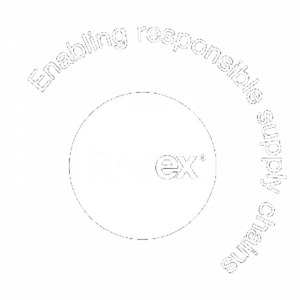 Logotipo de Sedex en color blanco