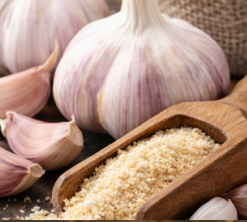 Ajo